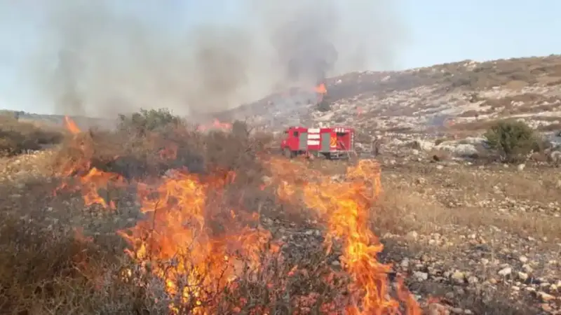 إشعال النيران بالمناطق الزراعية