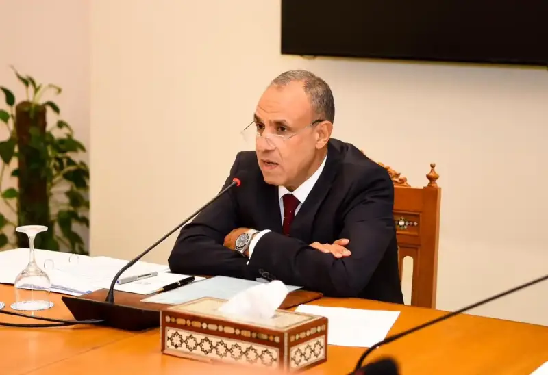 وزير الخارجية المصري