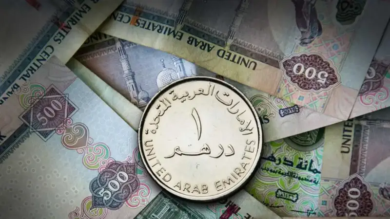 الدرهم الإماراتي