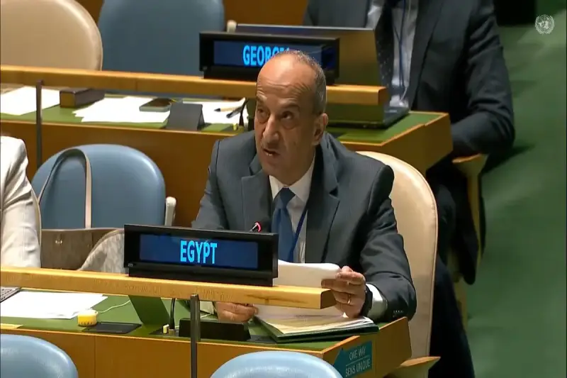 مندوب مصر بمجلس الأمن