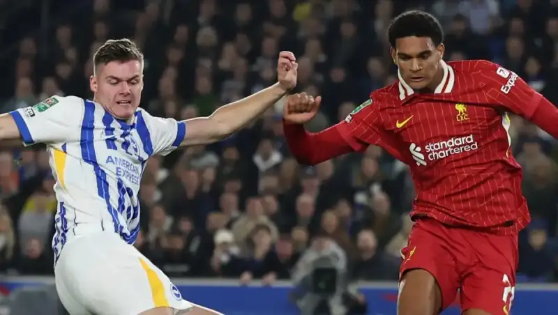 برايتون ضد ليفربول