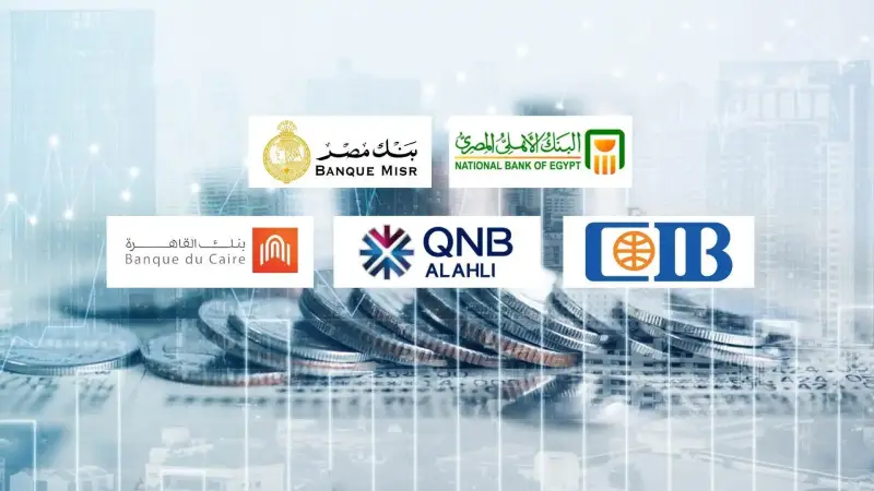 البنوك المصرية