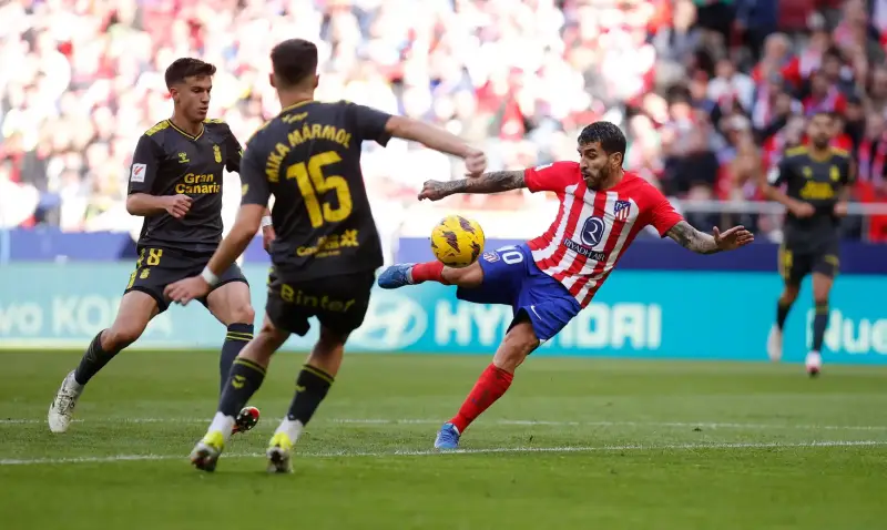 أتلتيكو مدريد ضد لاس بالماس