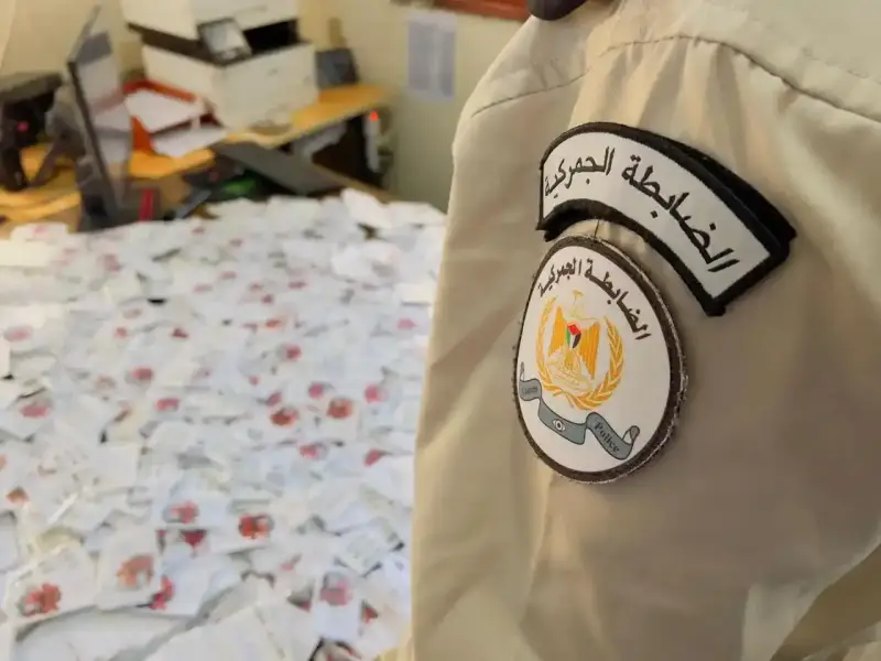 الضابطة الجمركية