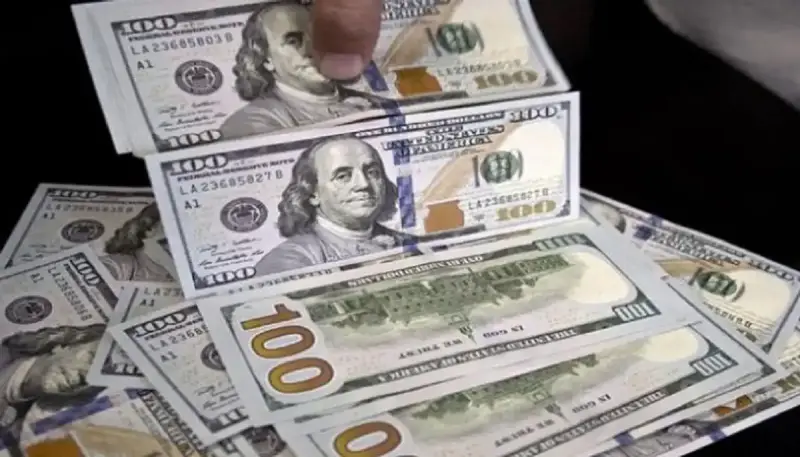 سعر الدولار في مصر