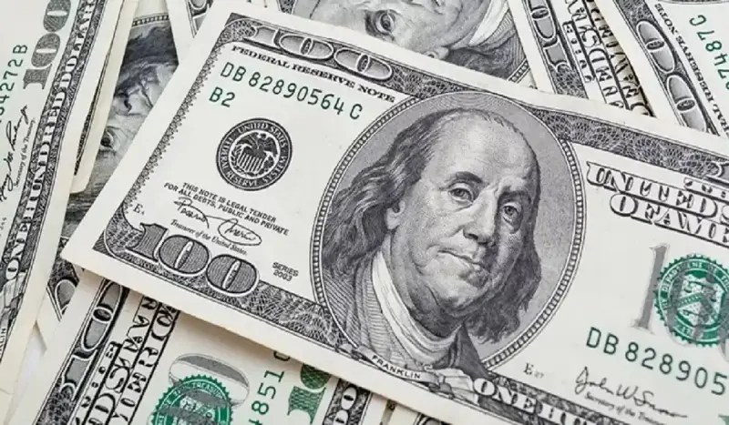 سعر الدولار مقابل الجنيه في مصر