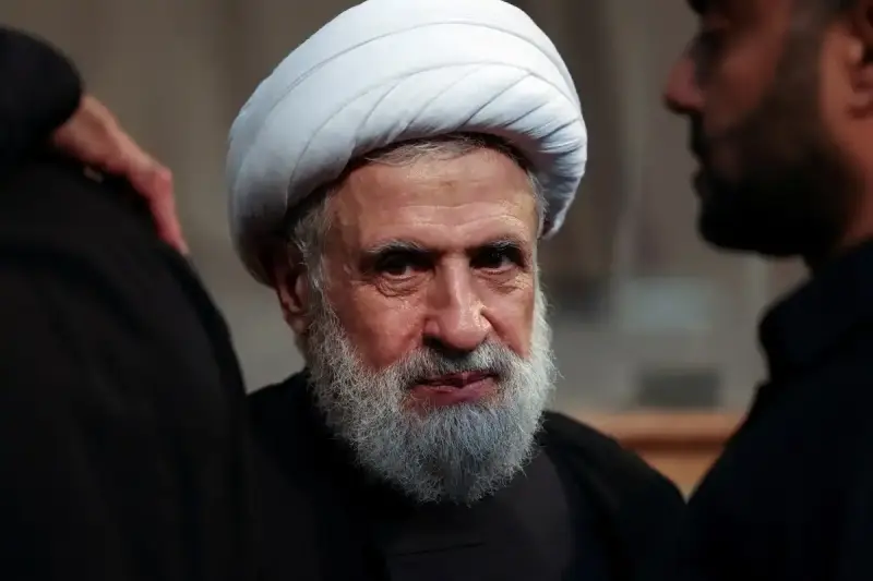 نعيم قاسم