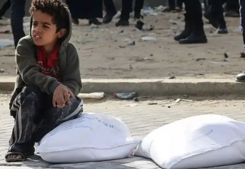 أزمة الطحين في غزة