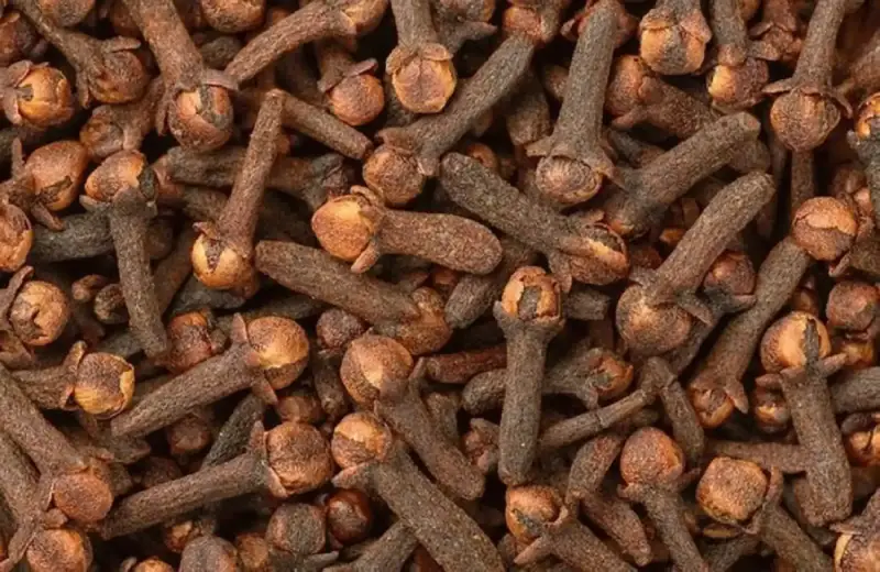 زيت القرنفل