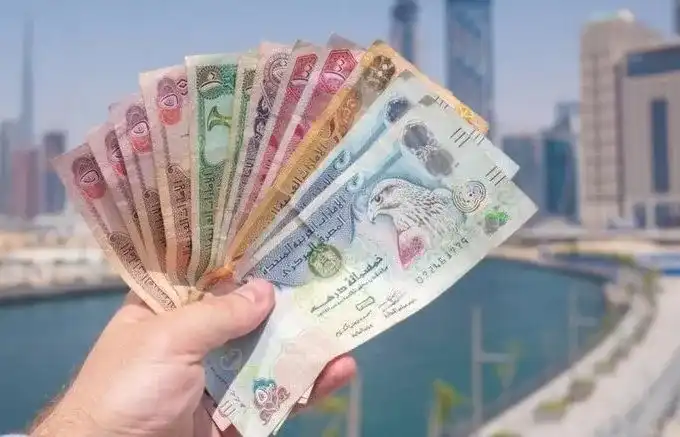 سعر الدرهم الإماراتي
