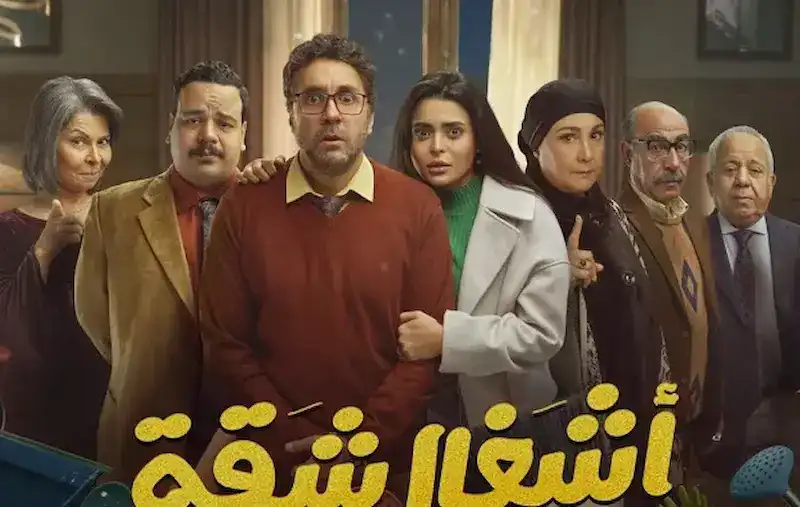 مسلسل أشغال شقة 2