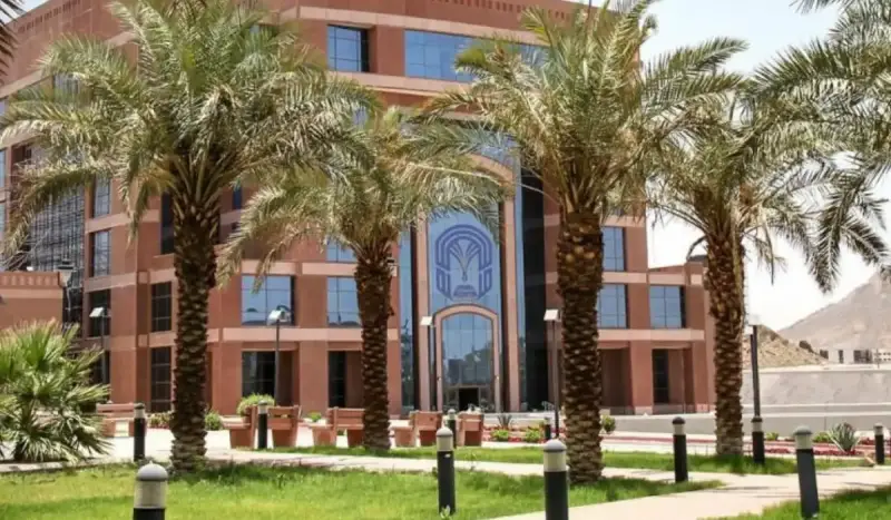 وظائف تعاون جامعة طيبة 2024