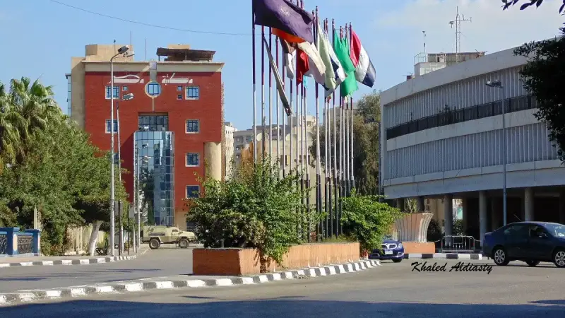 مكتبة مصر العامة في المنصورة