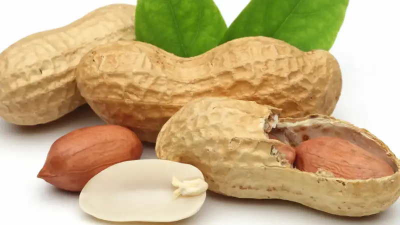 الفول السوداني