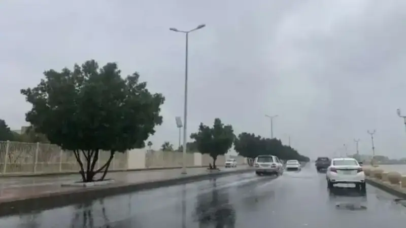 حالة طقس المملكة