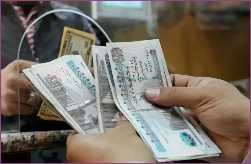 موعد صرف معاشات شهر يناير 2025