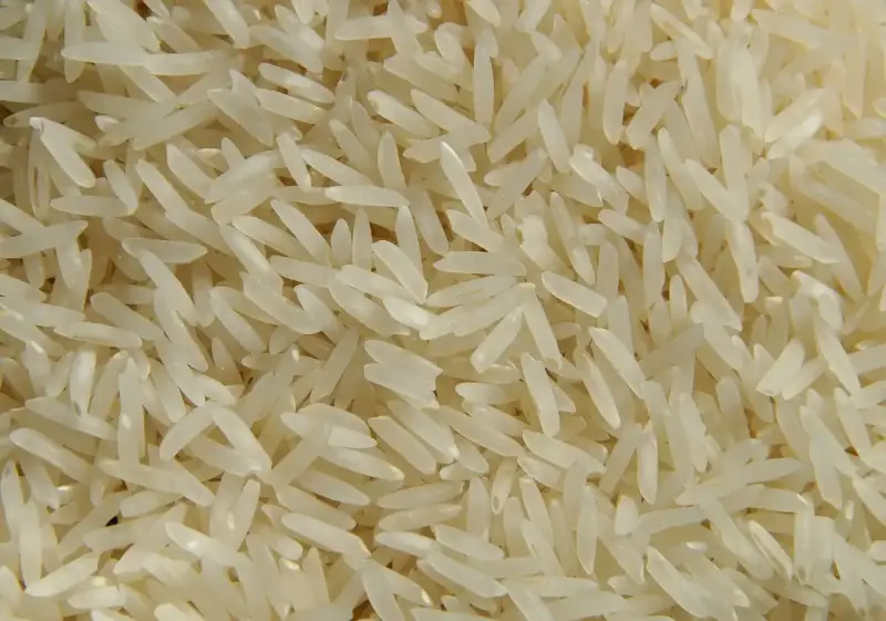 سعر طن الأرز الشعير اليوم