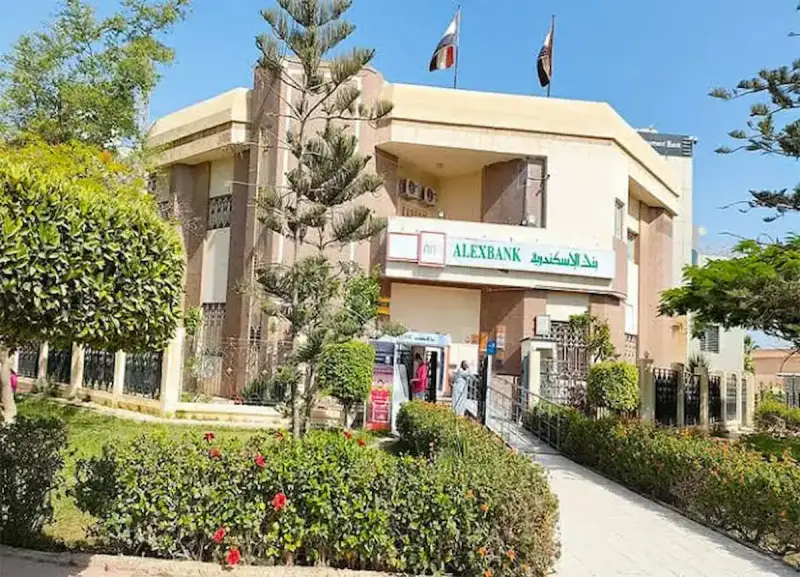 وظائف بنك الإسكندرية 2025 لحديثي التخرج
