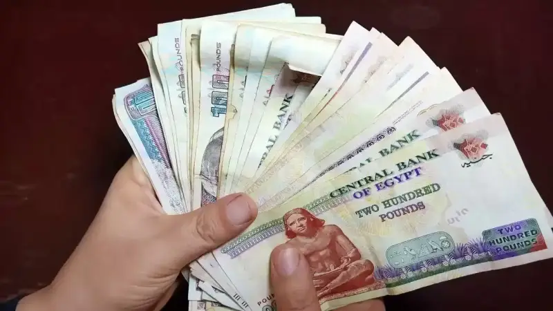 آخر أخبار زيادة المرتبات في مصر