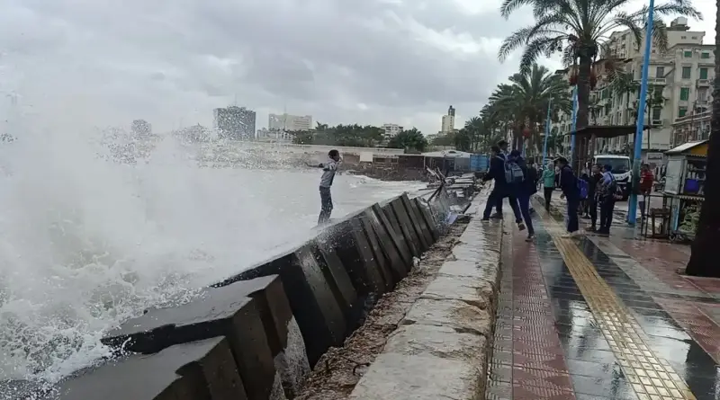 نوات الإسكندرية