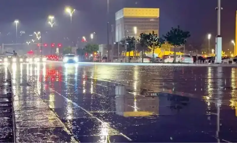 أمطار رعدية غزيرة في المملكة
