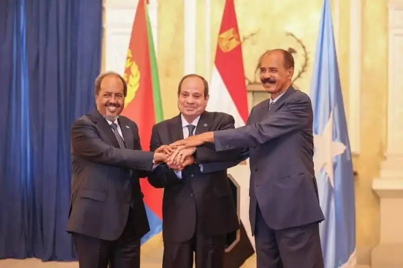 الرئيس المصري عبد الفتاح السيسي ونظيره الصومالي حسن شيخ محمود