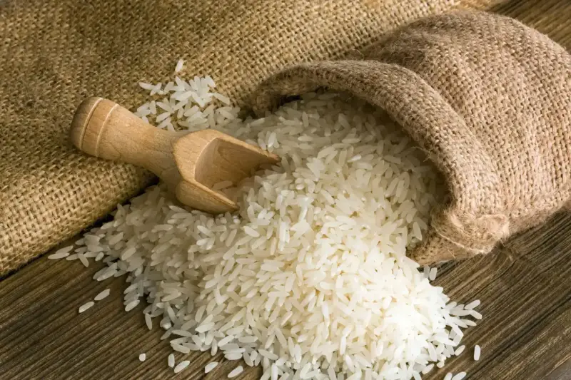 سعر طن الأرز الشعير اليوم في مصر