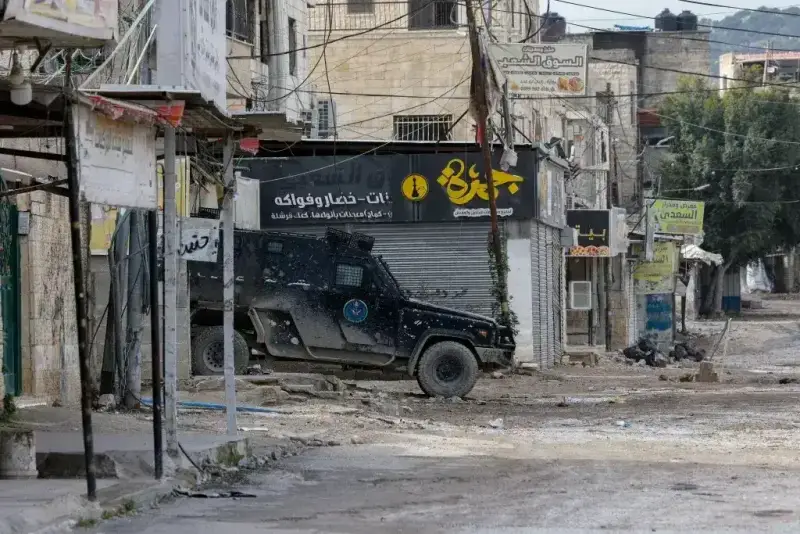 حملة حماية وطن الفلسطينية