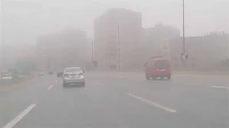 هل يوجد شبورة غدًا الجمعة في مصر؟