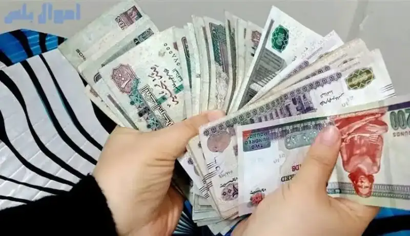 أنواع شهادات الاستثمار 2025 في مصر