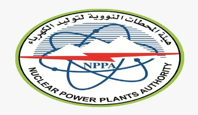 وظائف هيئة المحطات النووية لتوليد الكهرباء