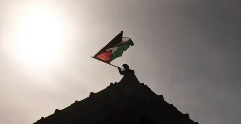 فلسطين