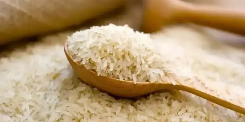 سعر طن الأرز الشعير اليوم