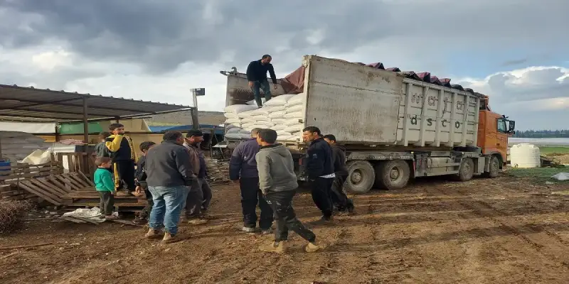 تسليم أعلاف الثروة الحيوانية بالأغوار الشمالية