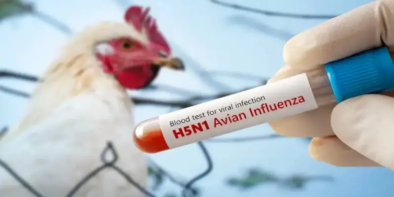 إنفلونزا الطيور H5N1
