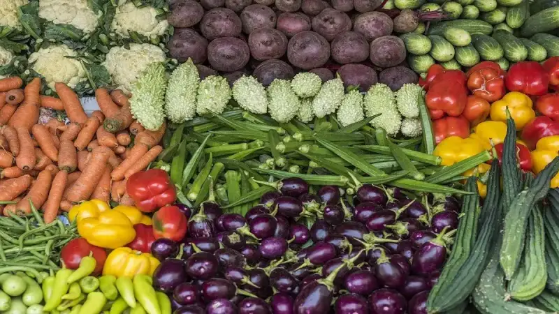 أسعار الخضار اليوم بالكيلو في مصر