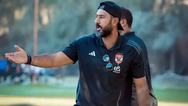 منصب ومهام محمد شوقي
