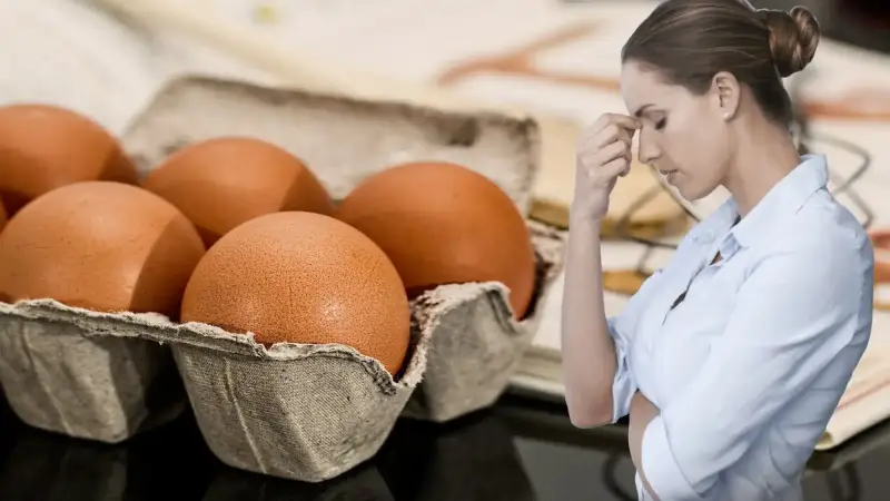أسعار البيض في أمريكا