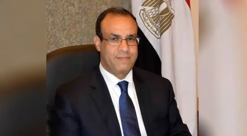 بدر عبد العاطي