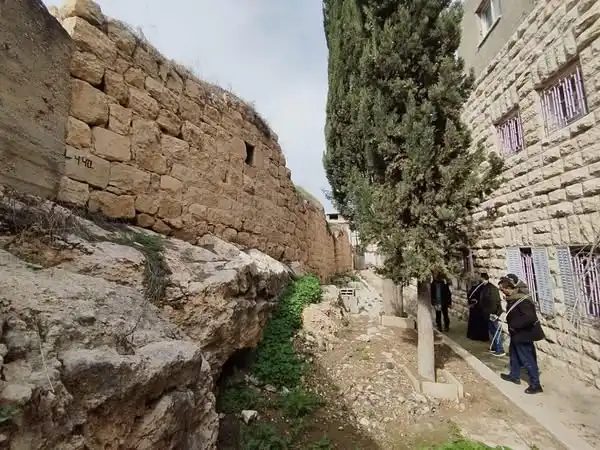 وزير السياحة