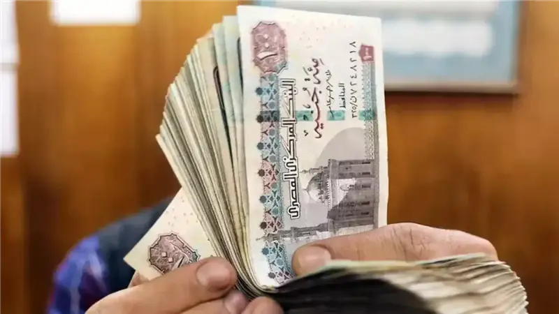 تسجيل العمالة الغير منتظمة 1000 جنيه فبراير 2025