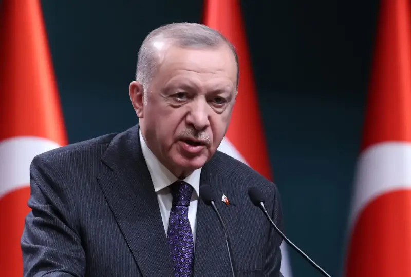 الرئيس التركي رجب طيب إردوغان