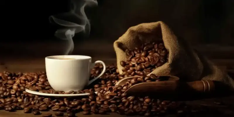 أسعار القهوة في مصر بعد الزيادة