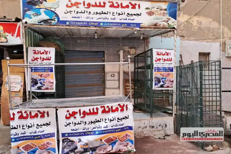 شهيد الغلابة في مصر