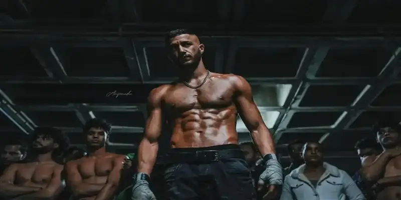 أحمد مالك