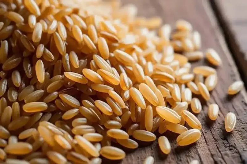 سعر طن الأرز الشعير اليوم