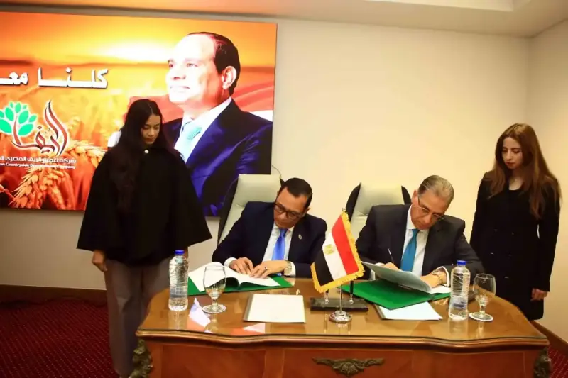 تنمية الريف المصري الجديد