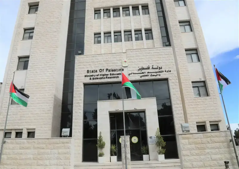 التربية والتعليم العالي