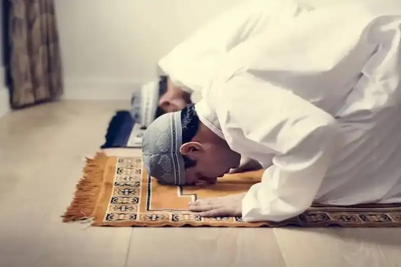 عدد ركعات صلاة التهجد في رمضان