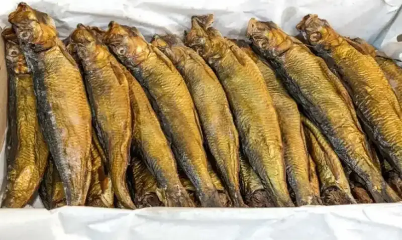 أسعار الرنجة والفسيخ